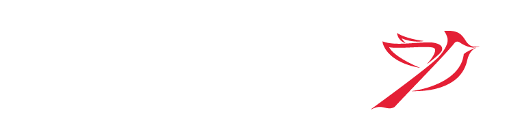 Logo Accelerate Pro
